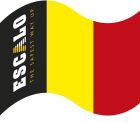 Actie Euro 2016